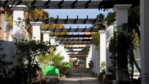A covered walkway with white columns and a pergola overhead, surrounded by lush greenery and potted plants. - Aparthotel Esquinzo Y Monte Del Mar (Pajara)
