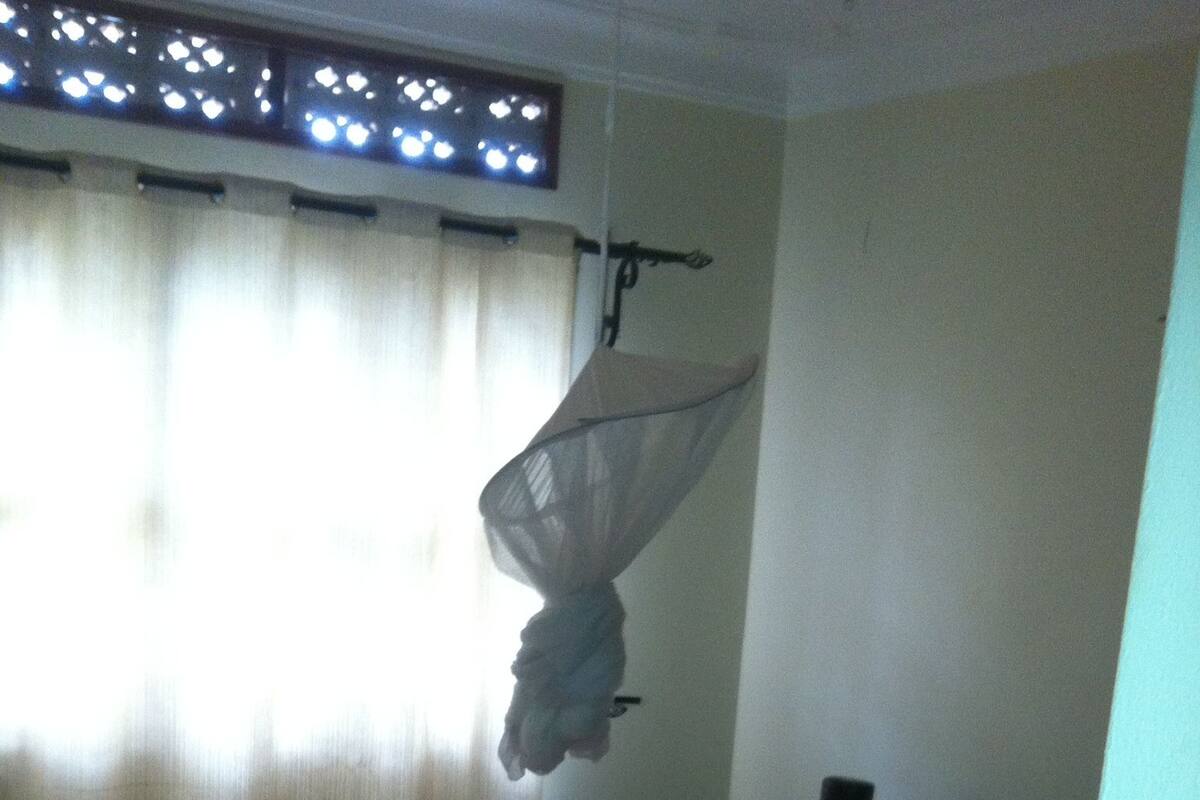 A bedroom with a bed, a mosquito net, and a window with curtains.