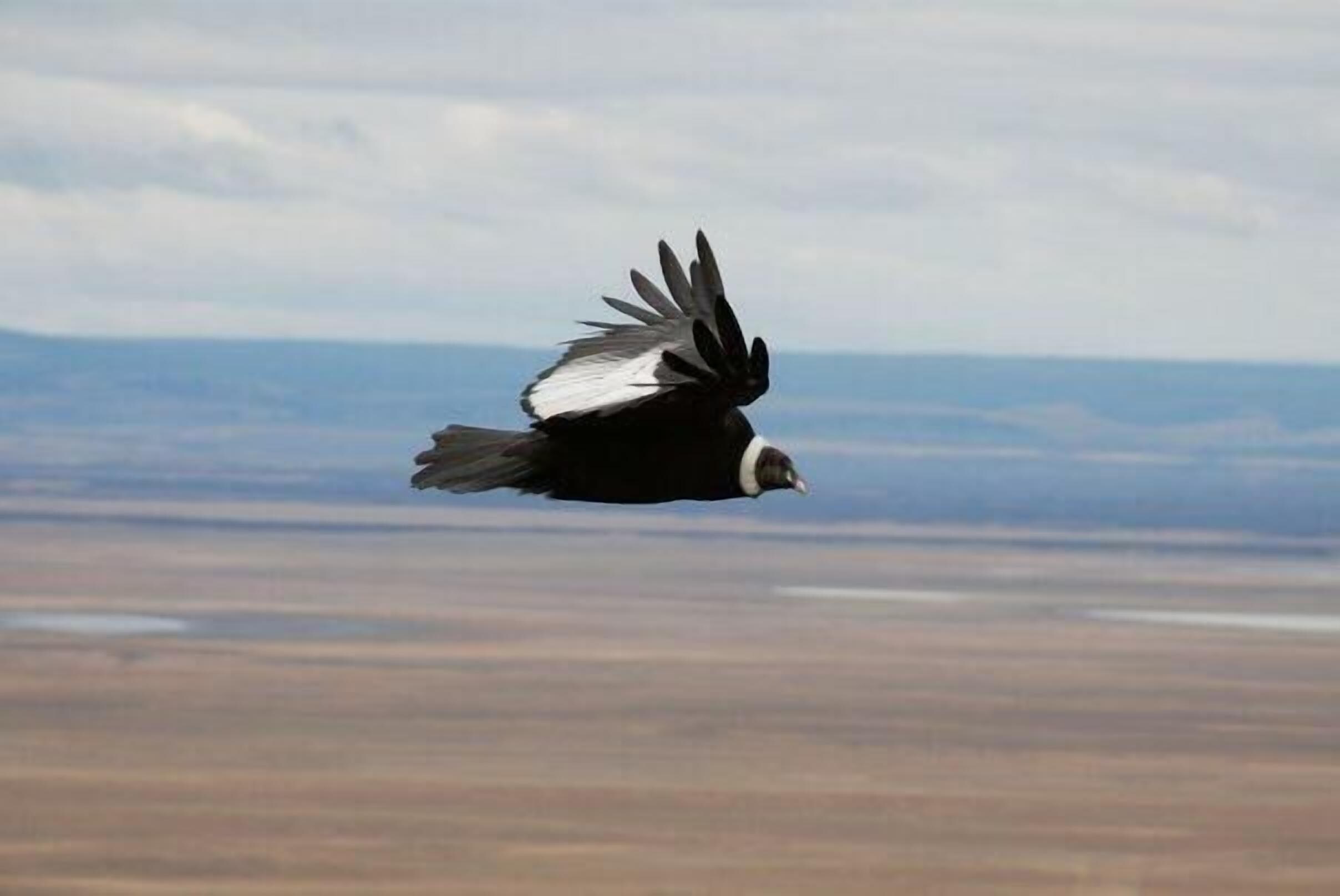 Pemandangan dari hartanah