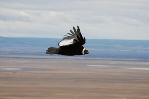 View from property - ElMaima Hotel (Veintiocho de Noviembre)