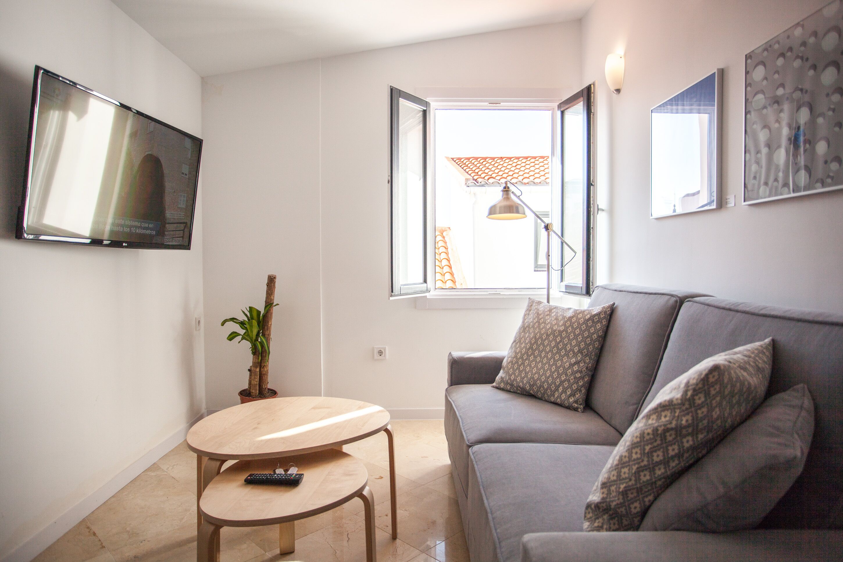 A living room with a grey sofa, a small wooden table, a potted plant, and a TV mounted on the wall.