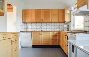 Kühlschrank, Mikrowelle, Herdplatte, Geschirrspüler
