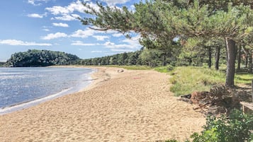 Ranta lähistöllä, kalastusmahdollisuus