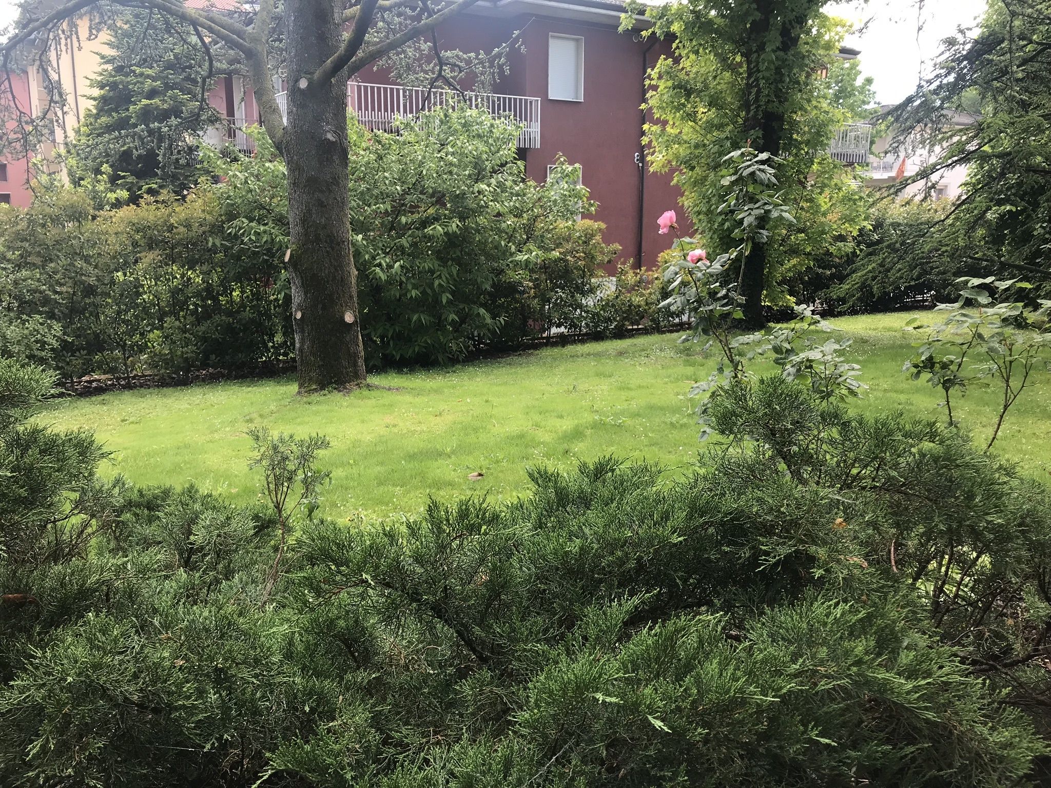 A well-maintained garden with a variety of trees and shrubs, a grassy lawn, and a building with a red facade in the background.