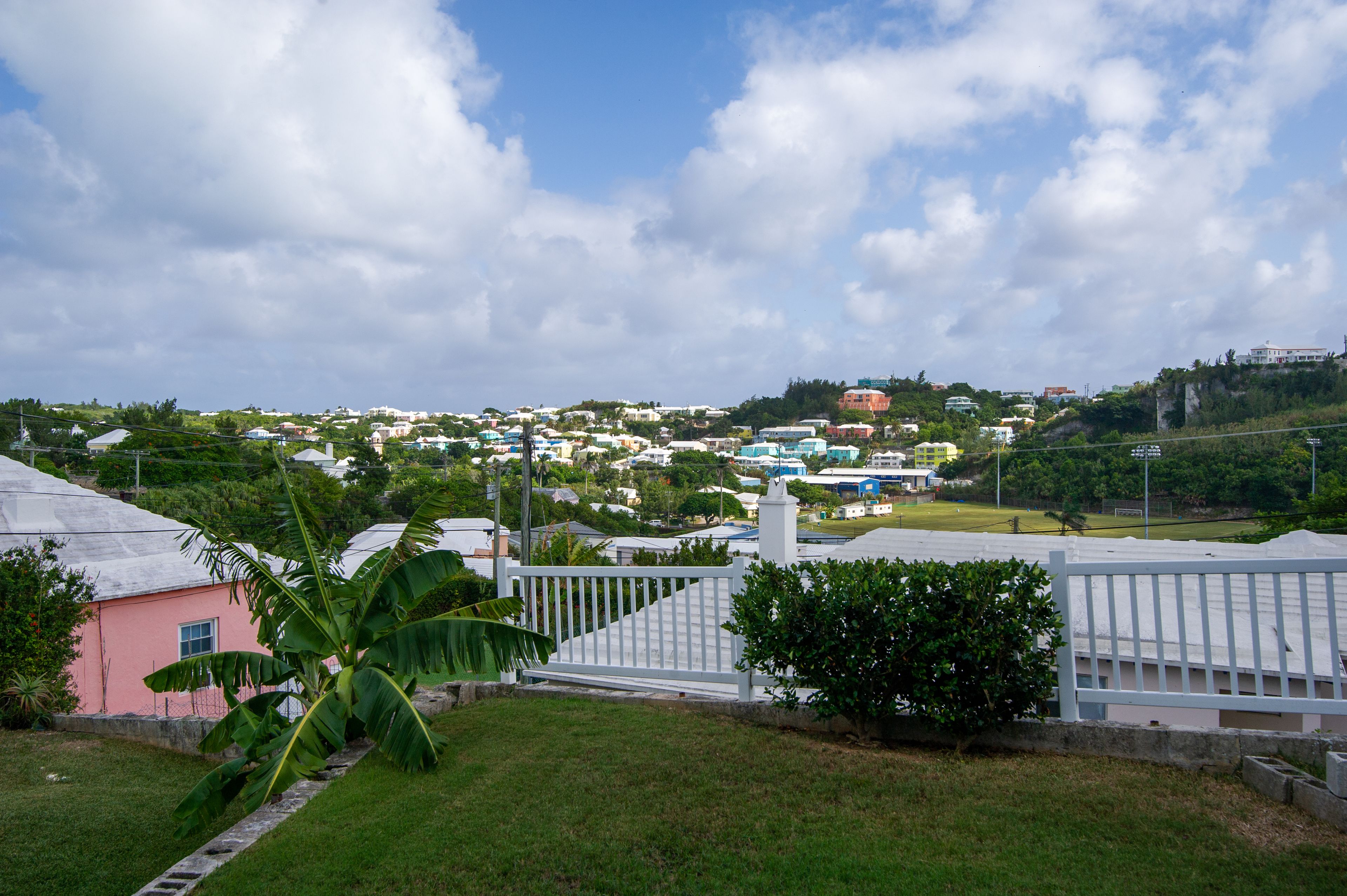 A residential area with houses, a white fence, and a banana tree.