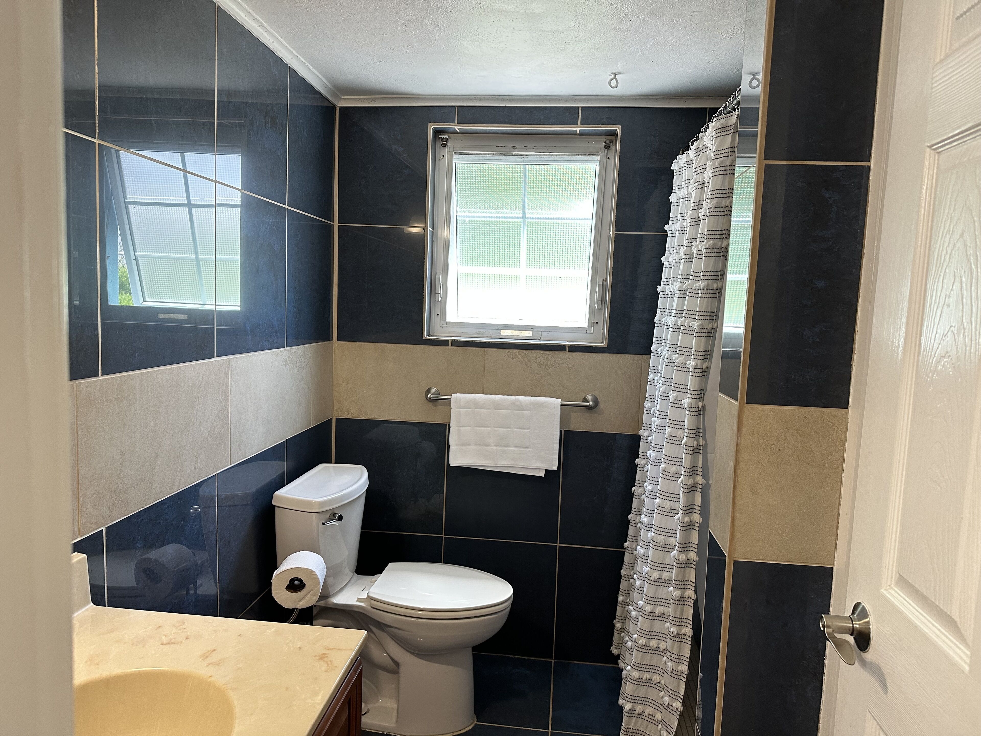 A bathroom with a toilet, a towel rack, a window, and a shower curtain.