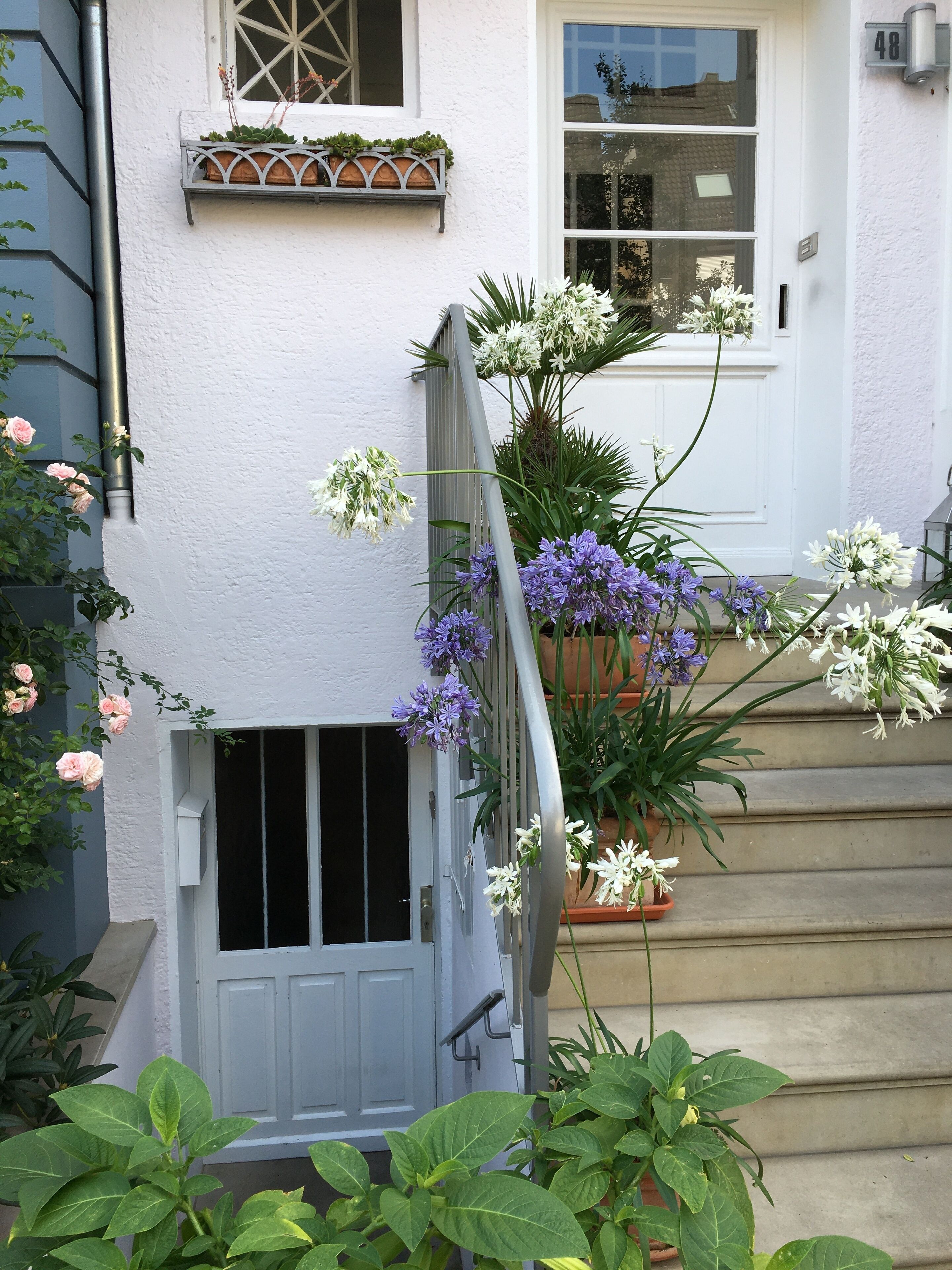 Un edificio bianco con una porta grigia e gradini che conducono a una porta bianca. Ci sono piante in vaso con fiori bianchi e viola sui gradini.
