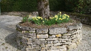 Een stenen plantenbak met gele narcissen en een boom, omgeven door een grindpad en een stenen muur.