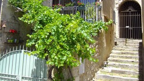 Un bâtiment en pierre avec un escalier menant à une entrée en arc de cercle.