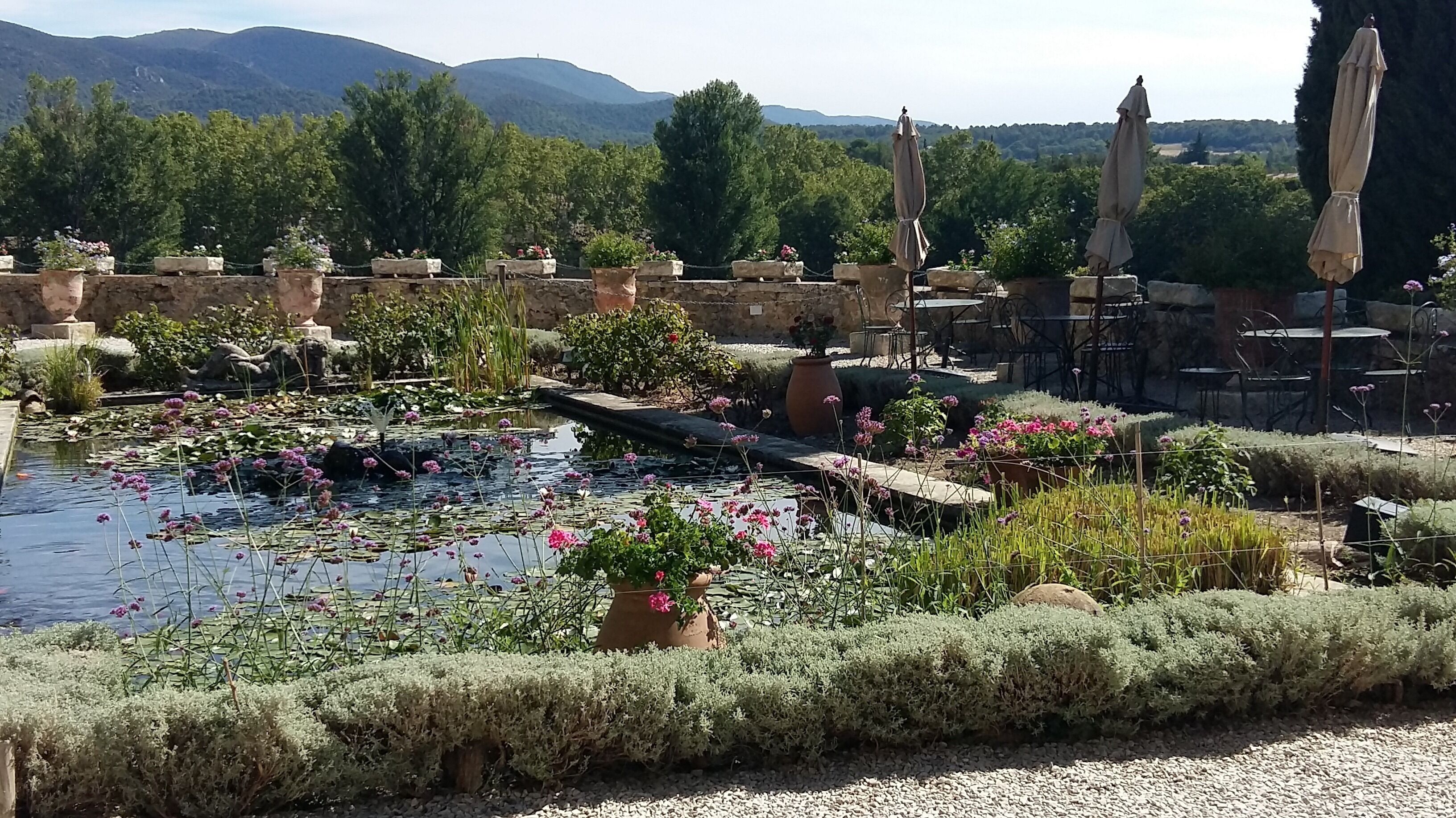 Um jardim com lago, plantas em vasos e área de estar ao ar livre.