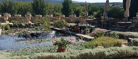 A garden with a pond, potted plants, and outdoor seating.