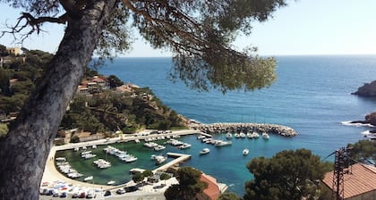 Mas Provençal 210m2 climatisé Alpilles et Lubéron calme piscine privé 2 hectares