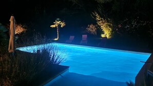Una piscina nocturna con bordes iluminados y vegetación circundante.