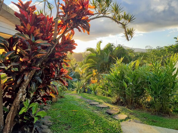 Property grounds - CITRONELLA APARTMENT (PETIT-BOURG)