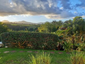 Property grounds - CITRONELLA APARTMENT (PETIT-BOURG)