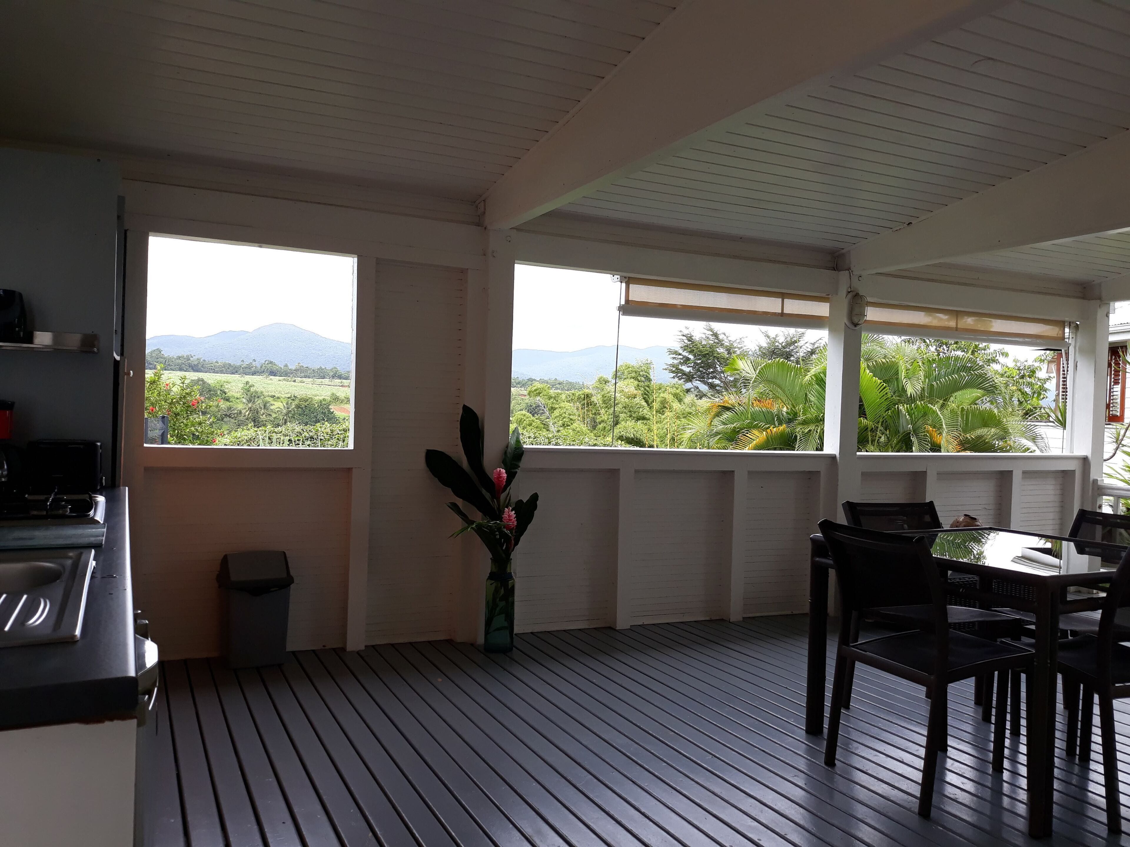 A room with a wooden floor, a dining table with chairs, a small trash bin, and a window with a view of greenery and mountains.