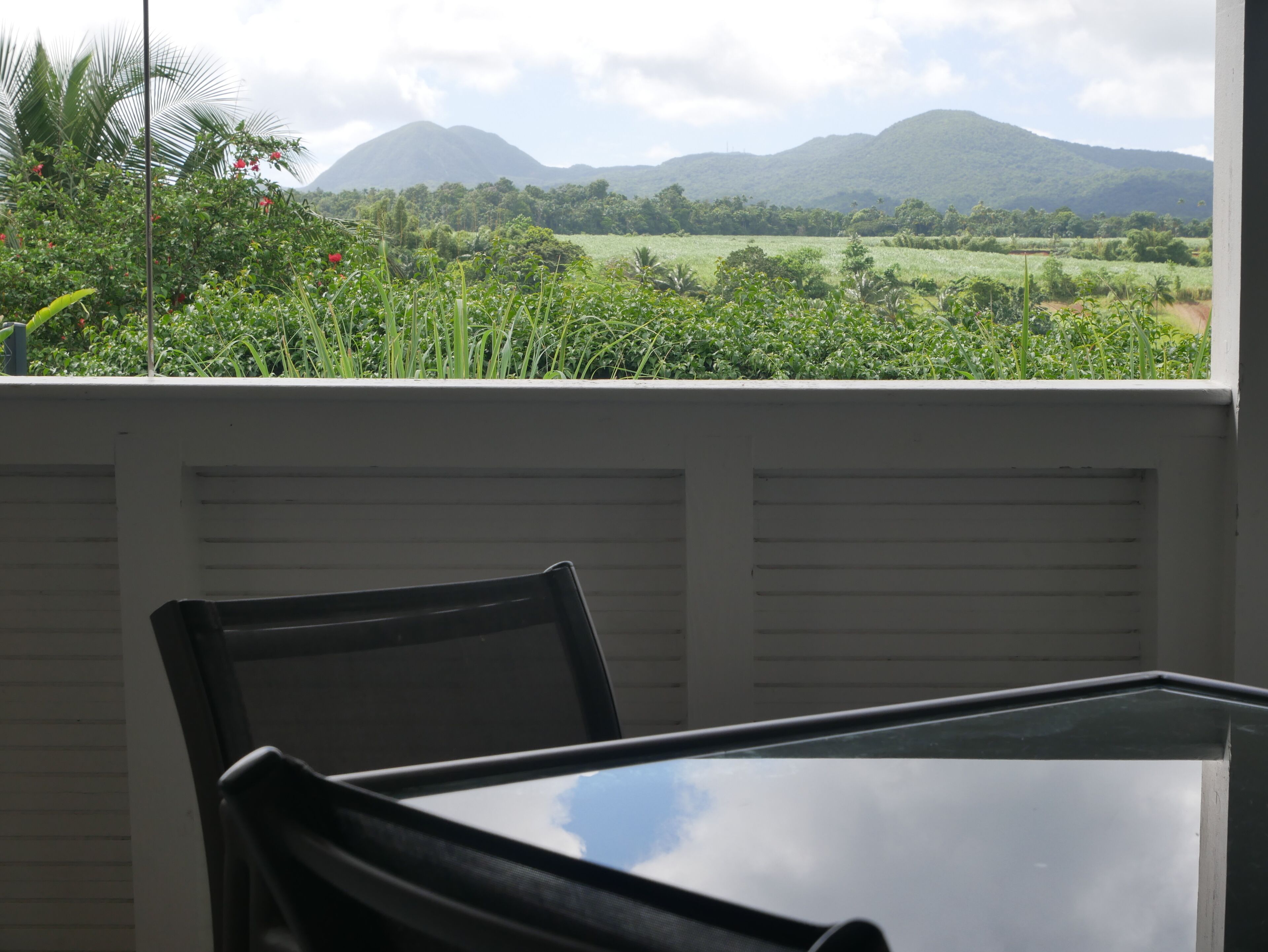 A room with a view of a lush landscape, including mountains and greenery.