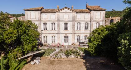 Family castle for 200 years, near UzÚs and the Cévennes