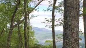 Eine Holzterrasse mit Blick auf bewaldetes Gebiet und ferne Berge.