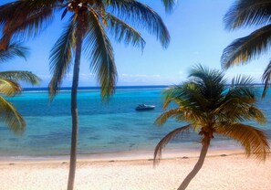 A beach with clear turquoise water, a boat in the distance, and palm trees. - Sandy Toe's & Salty Kisses - 2 bed /2 bath beachfront condo with pool (Christiansted)