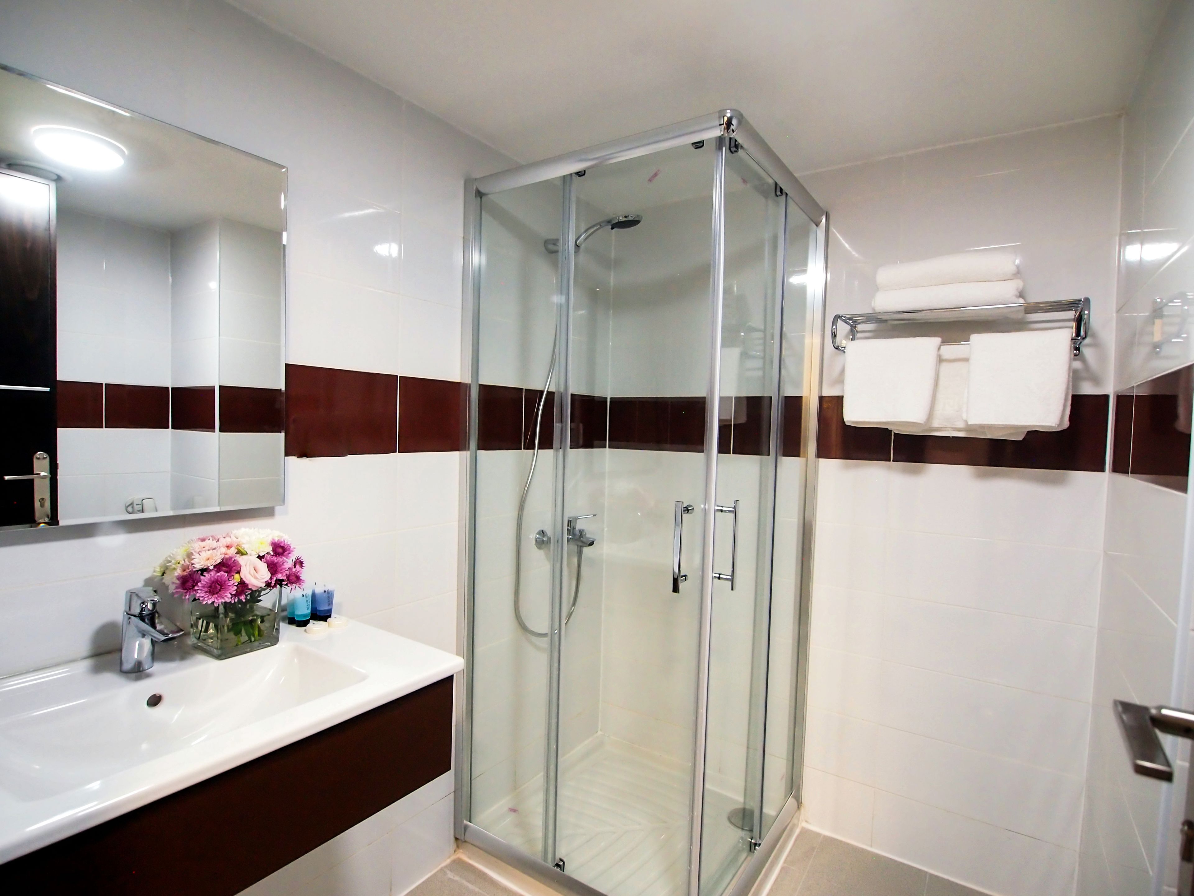 shower, free toiletries, hair dryer, towels