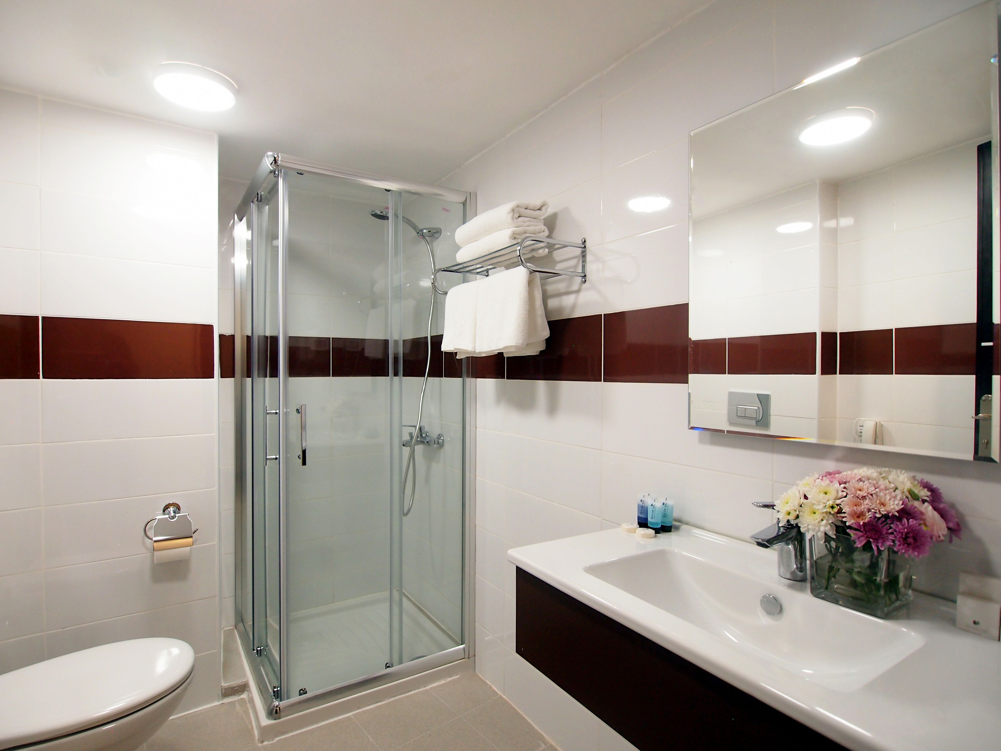 shower, free toiletries, hair dryer, towels