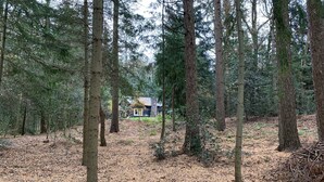 A forested area with a building in the background.
