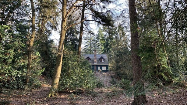 A house surrounded by dense forest.