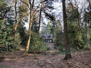 Una casa rodeada de un bosque denso.