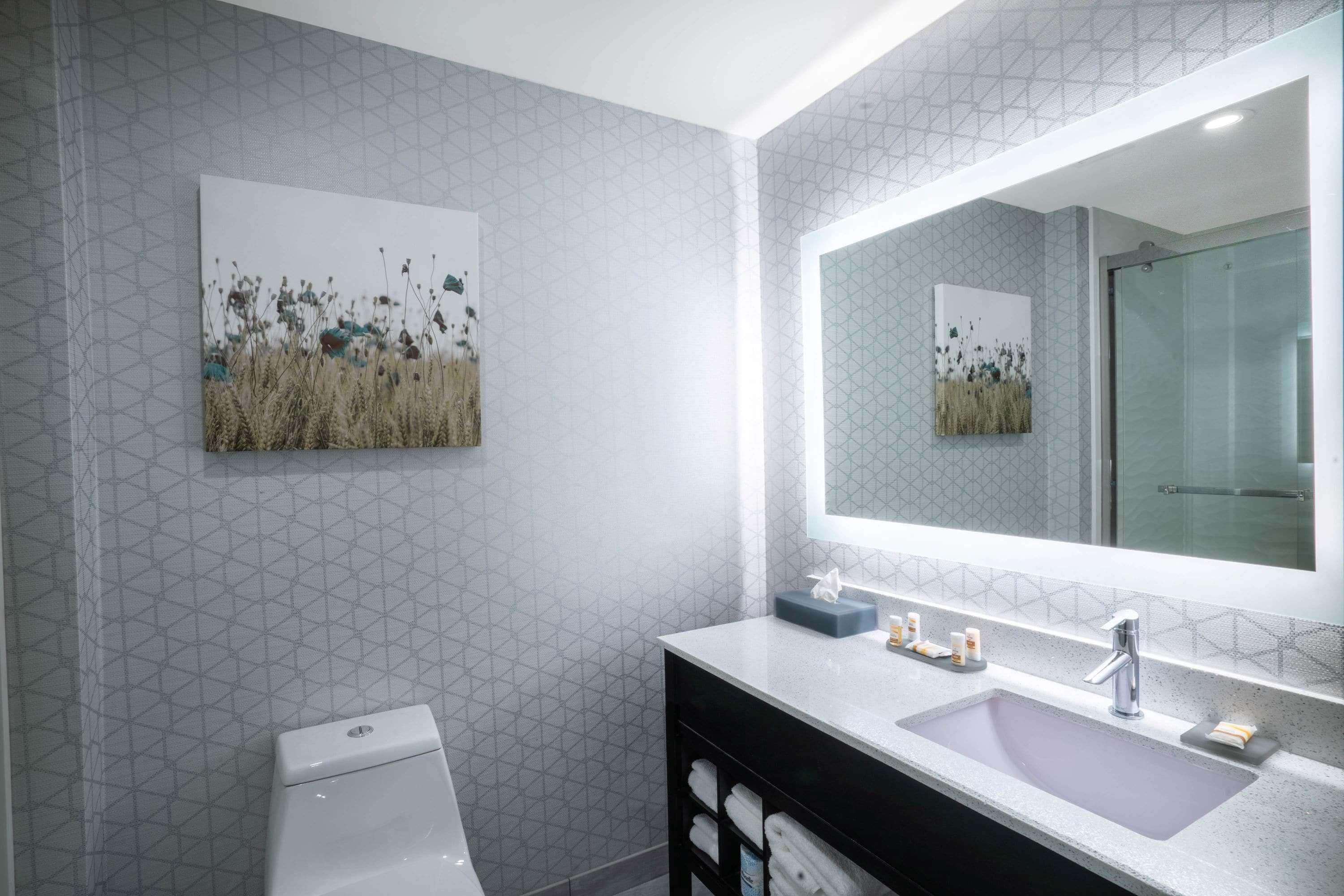 combined shower/bathtub, hair dryer, towels