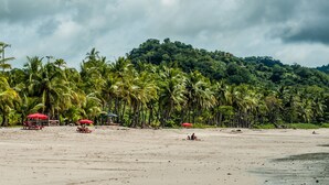 Uma praia com palmeiras, uma faixa de areia e uma colina coberta por vegetação densa ao fundo.