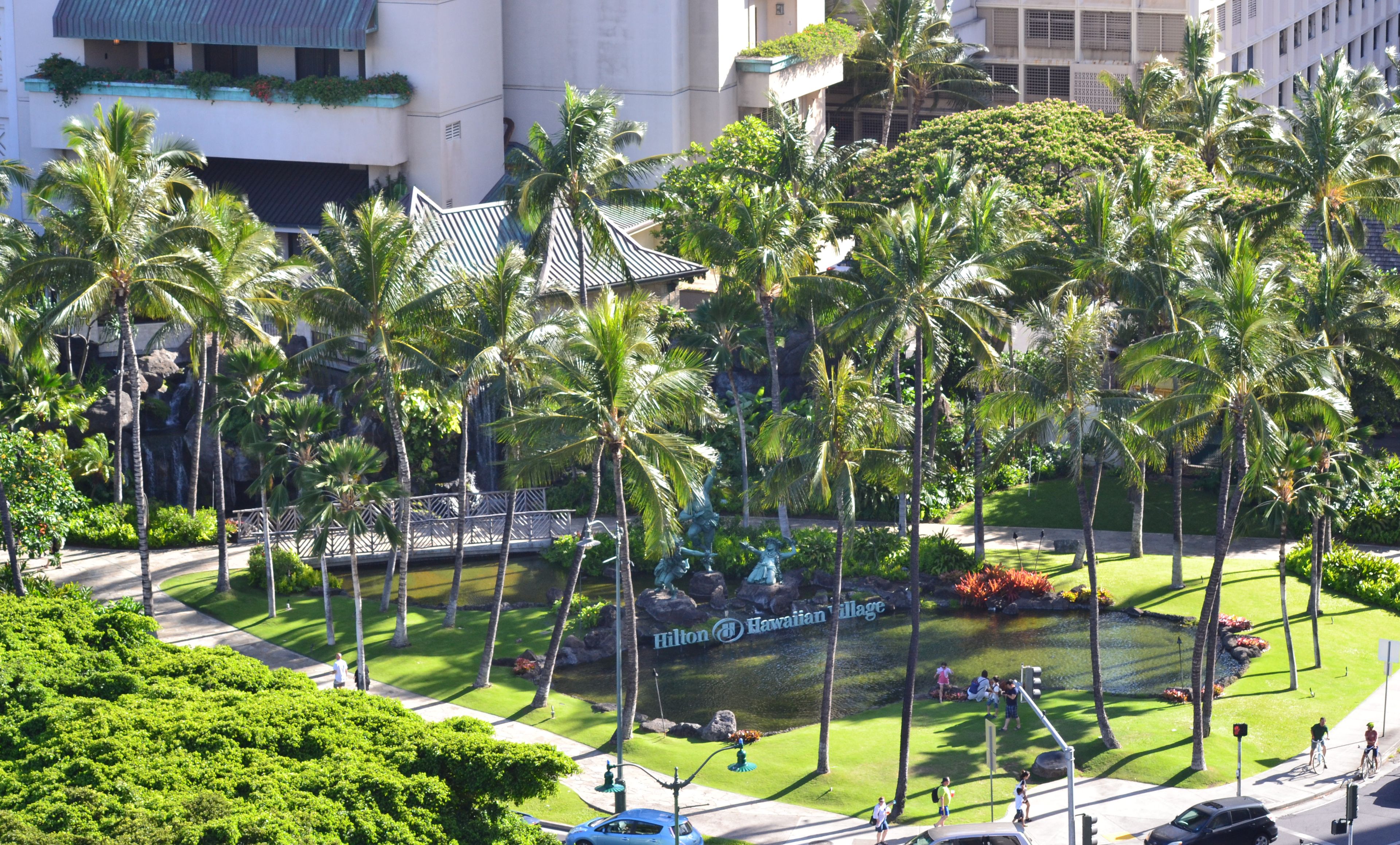 A view of a hotel with a tropical garden, palm trees, and a pond.