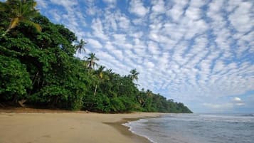 Pantai berhampiran, pasir putih, bar pantai