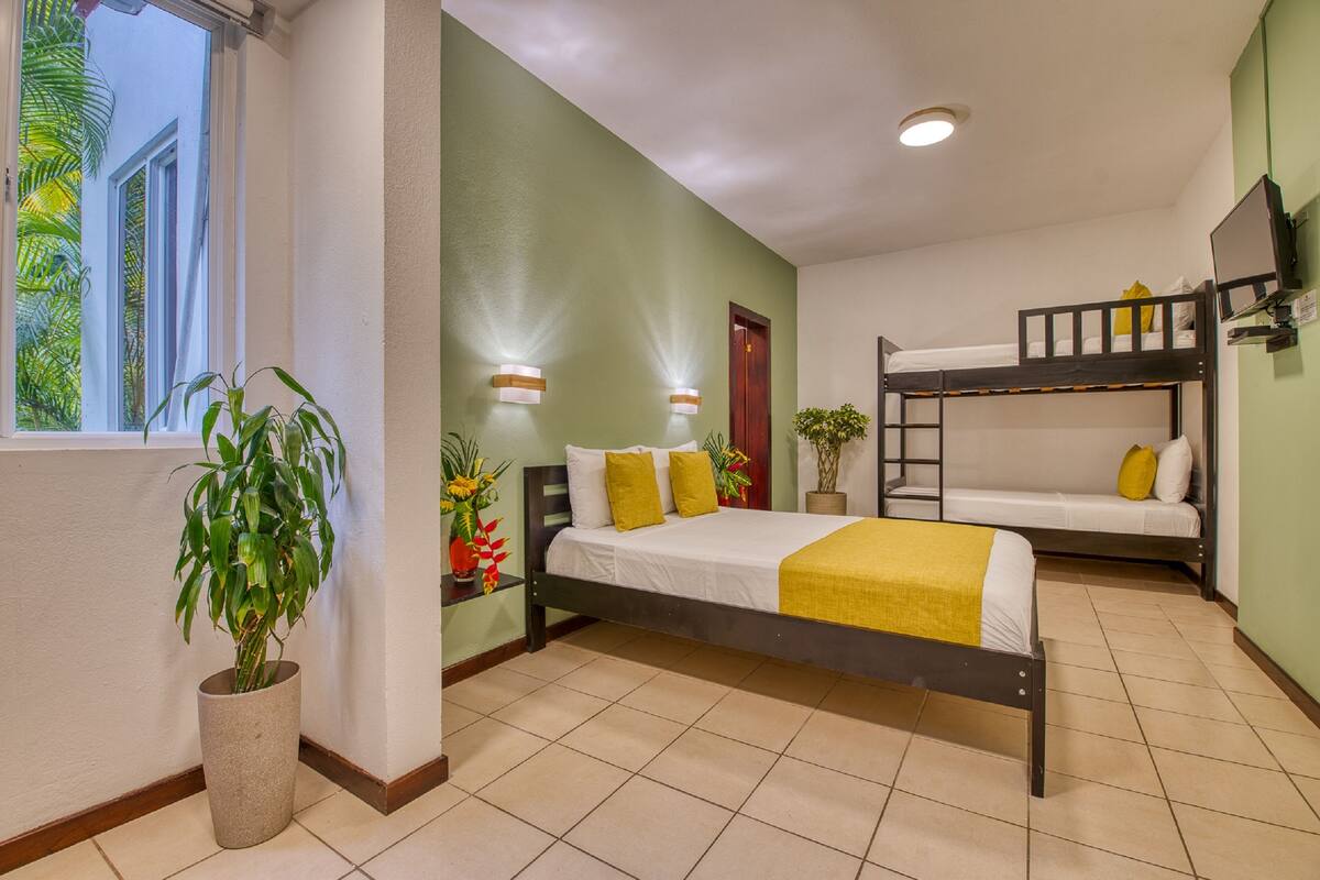 Une chambre avec un lit superposé, un lit simple, une plante en pot et une fenêtre donnant sur un paysage verdoyant.