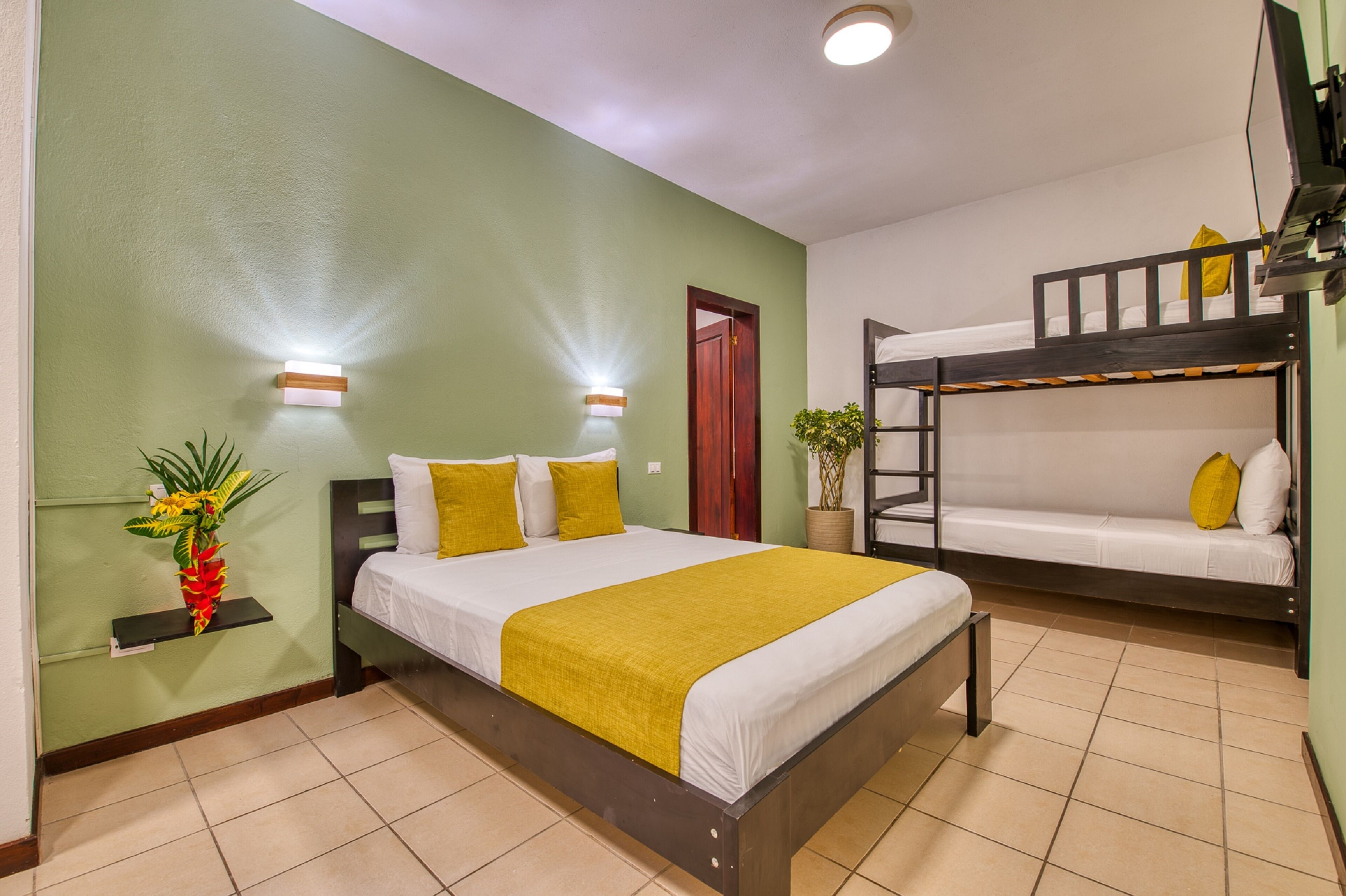 Una habitación con una cama, una litera, un estante en la pared con una planta y una puerta.