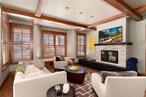 TV connectée, cheminée, jeux vidéo, lecteur de DVD