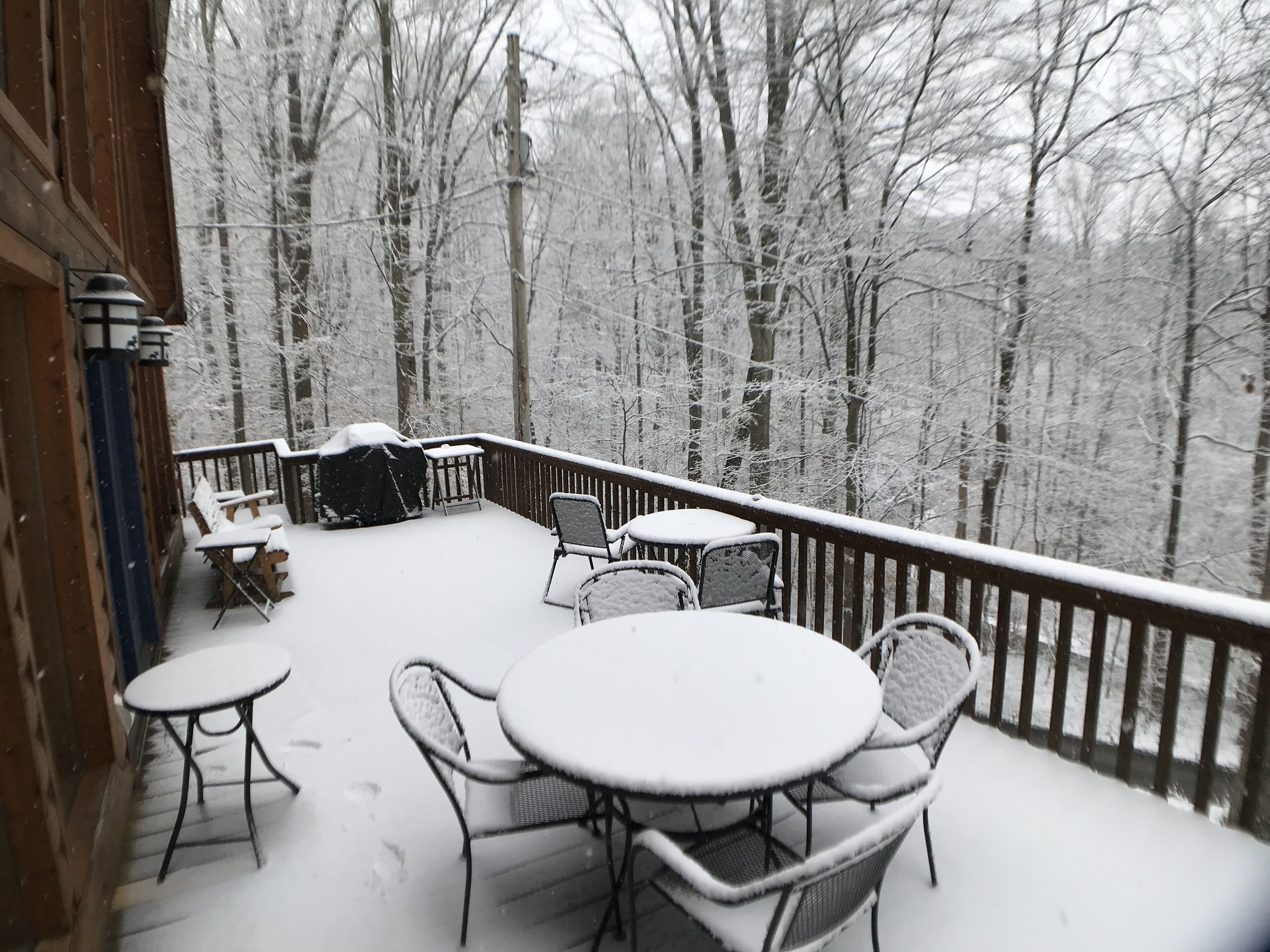 A snow-covered deck with outdoor furniture, surrounded by a forest.
