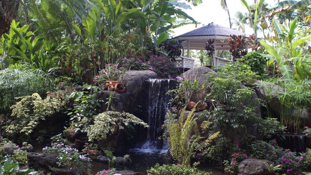 Een weelderige tuin met een waterval, een prieel en diverse tropische planten.