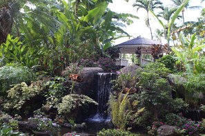 Jardines del alojamiento