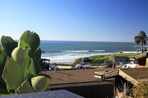 Property grounds - The Whale    Ocean View       Pacific Beach (San Diego)