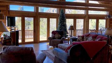 TV, DVD player, books, stereo