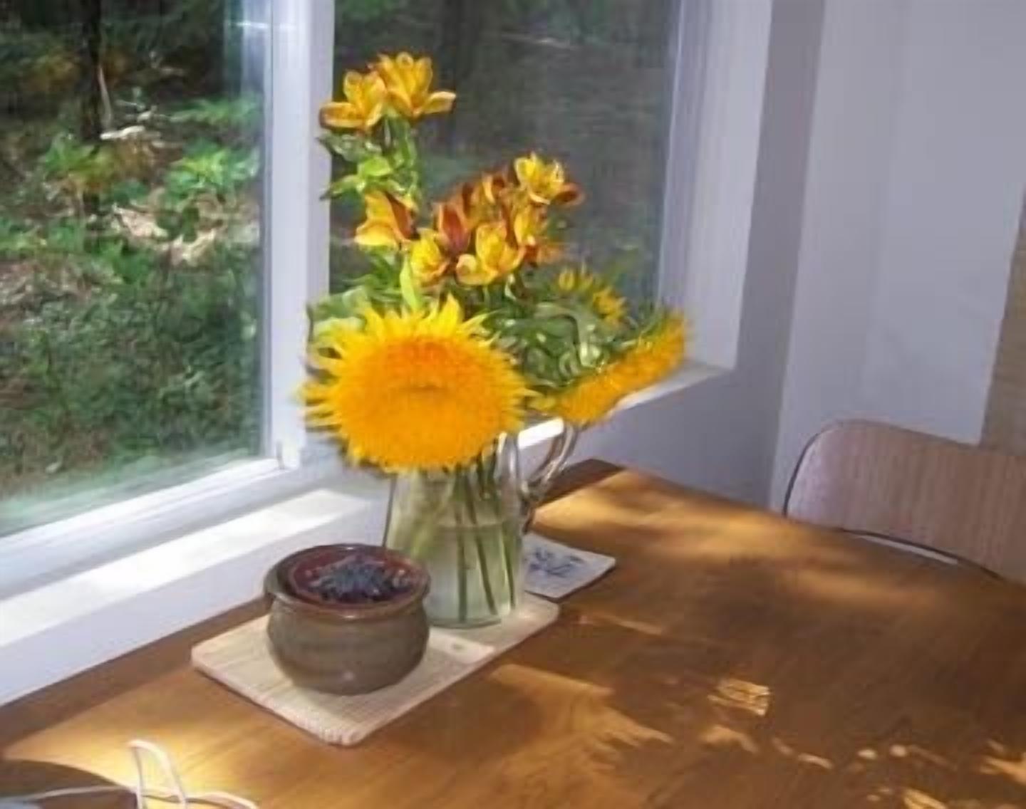 Dutch Flat, Serenity Central:  Cozy Home in the Woods