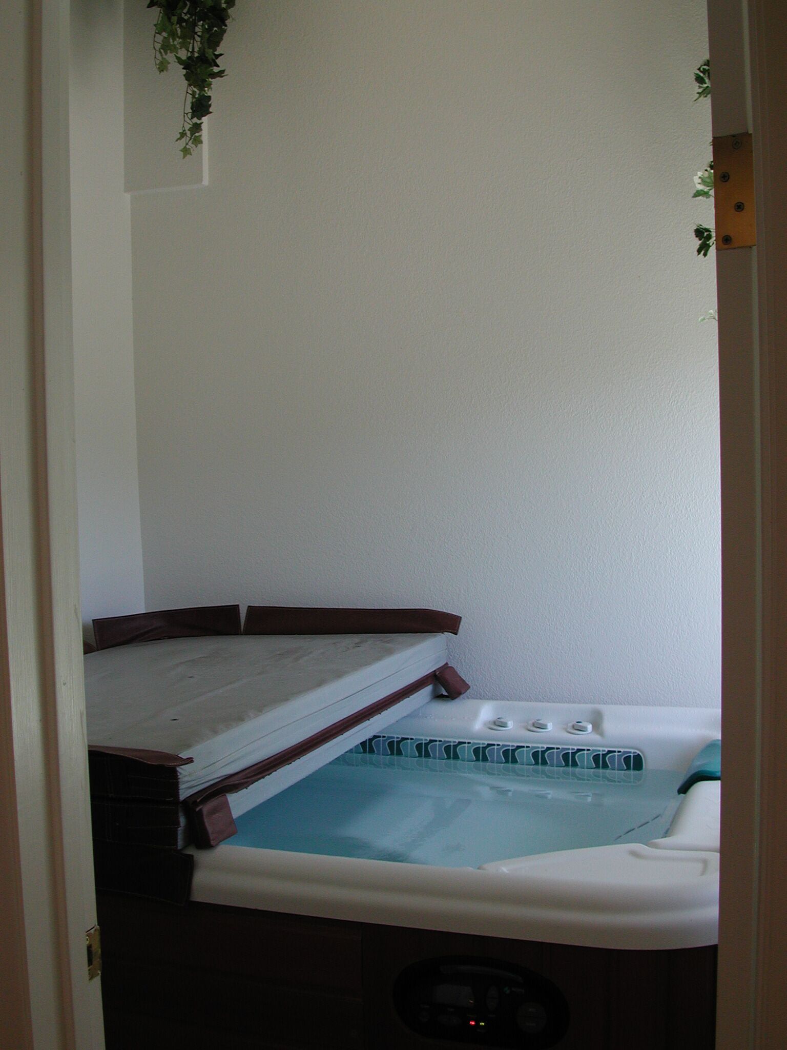 Relaxing hot tub to enjoy view of the slopes