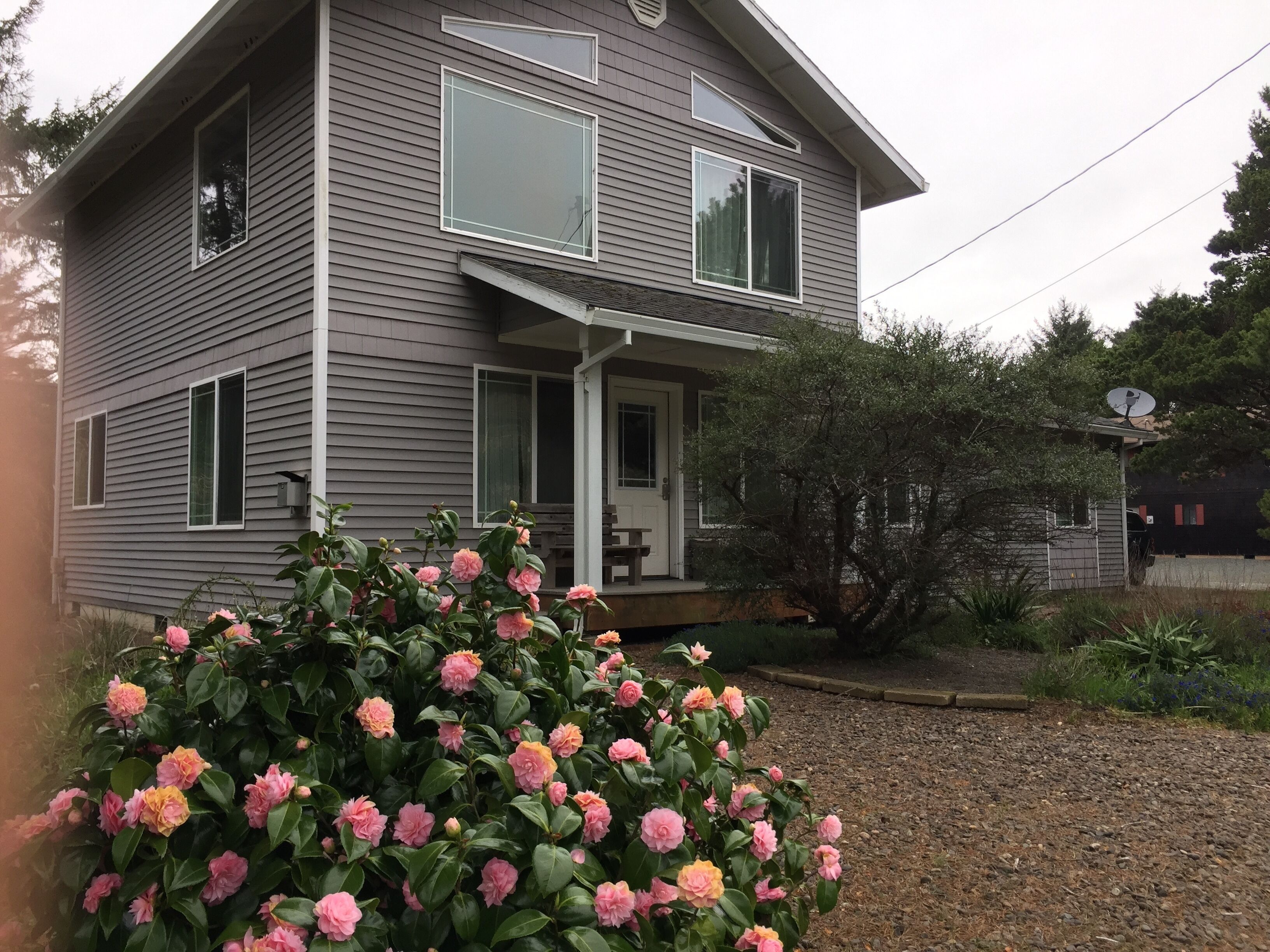 The Hermit Crab Cottage with spring blooms on the camellia bush.