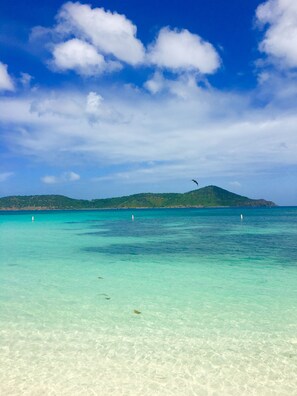 A clear turquoise sea with a distant green island and a bird flying overhead. - Gorgeous boho at the beach walkout oceanfront condo in Sapphire D building. (St Thomas)
