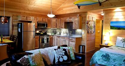 Moderni hirsimökki loma-asunnolla omalla saunalla Talkeetnassa, Alaskassa