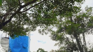 A blue water tower, a red swing set, and a picnic table in a grassy park area. - Canopy Wonders House: A Place Among Tree Tops! (Monteverde)