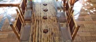 Canopy Wonders House: A Place Among Tree Tops!