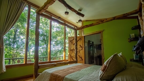A room with a large window, wooden beams, a bed with a striped bedspread, and a green wall. - Canopy Wonders House: A Place Among Tree Tops! (Monteverde)