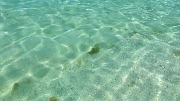 A clear view of a beach with shallow, turquoise water and a clear sky. - 2 Bedroom In Indian Rocks Beach, FL - Gulf Side Complex w/ Direct Beach Access (Indian Rocks Beach)